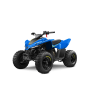 Vaikiškas keturratis CFMOTO CFORCE 110