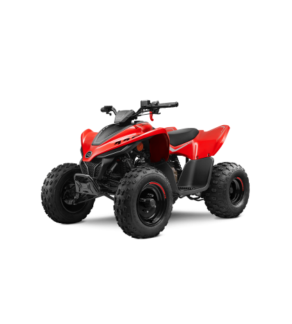 Vaikiškas keturratis CFMOTO CFORCE 110 basic